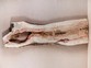 Слэб из дерева ясеня (фото) от столярной мастерской Дорофея Брычева